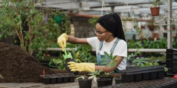 The Best Greenhouse Thermometers and Hygrometers in 2024
