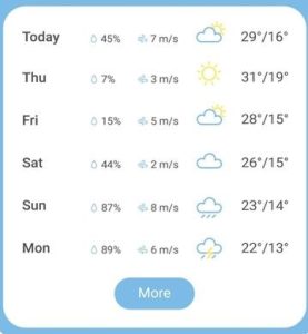 Weather forecast Mobile app interface vector template. Presents Humidity, temperature, rain percentage, and wind conditions.