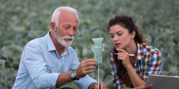 Analog rain gauge in the field being used by a mature farmer and his young assistant
